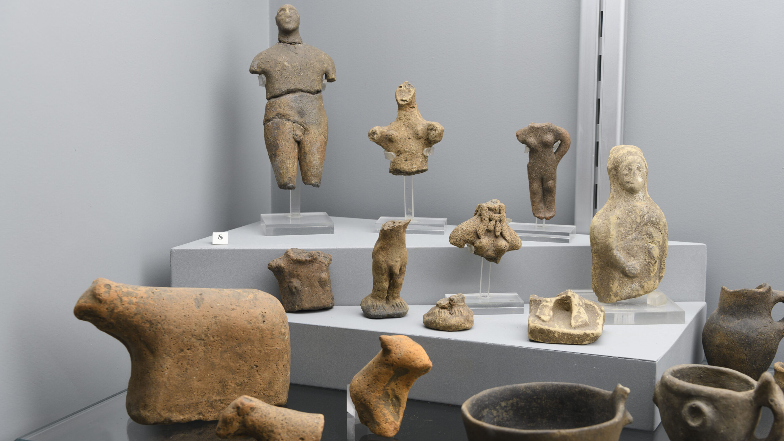 Al Museo delle Civiltà il 14 dicembre Un viaggio nel tempo, dalle origini alle prospettive dell’umanità Visita per famiglie/adulti alle Collezioni Preistoriche